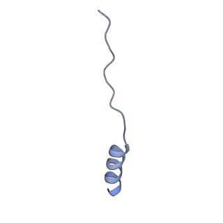 2924_4ui9_G_v1-4
Atomic structure of the human Anaphase-Promoting Complex