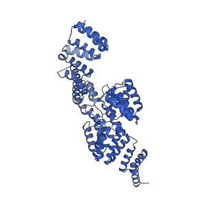 2924_4ui9_J_v1-4
Atomic structure of the human Anaphase-Promoting Complex