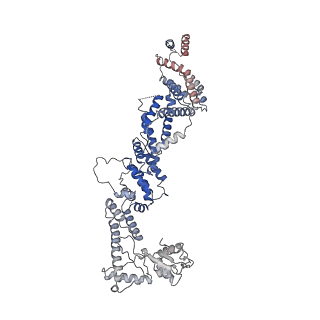 2924_4ui9_N_v1-4
Atomic structure of the human Anaphase-Promoting Complex