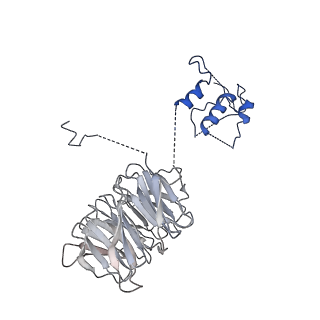 2924_4ui9_R_v1-4
Atomic structure of the human Anaphase-Promoting Complex