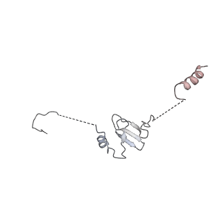 2924_4ui9_S_v1-4
Atomic structure of the human Anaphase-Promoting Complex