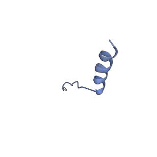 2924_4ui9_W_v1-4
Atomic structure of the human Anaphase-Promoting Complex