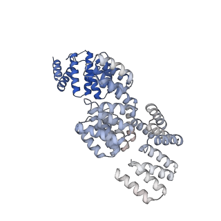 2924_4ui9_X_v1-4
Atomic structure of the human Anaphase-Promoting Complex