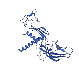 42285_8ui0_C_v1-0
Structure of poised transcription complex Pol II-DSIF-NELF - pre-translocated