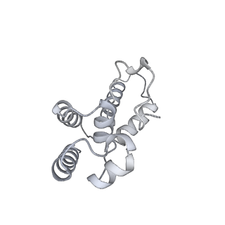 42285_8ui0_D_v1-0
Structure of poised transcription complex Pol II-DSIF-NELF - pre-translocated