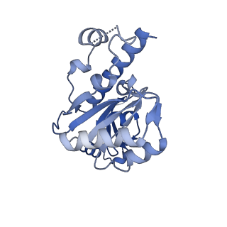 42285_8ui0_E_v1-0
Structure of poised transcription complex Pol II-DSIF-NELF - pre-translocated