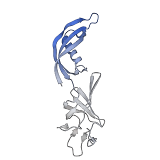 42285_8ui0_G_v1-0
Structure of poised transcription complex Pol II-DSIF-NELF - pre-translocated