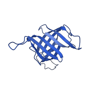 42285_8ui0_H_v1-0
Structure of poised transcription complex Pol II-DSIF-NELF - pre-translocated