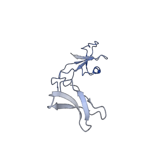 42285_8ui0_I_v1-0
Structure of poised transcription complex Pol II-DSIF-NELF - pre-translocated