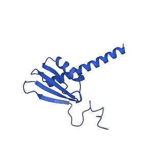 42285_8ui0_K_v1-0
Structure of poised transcription complex Pol II-DSIF-NELF - pre-translocated