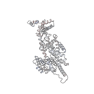 42285_8ui0_V_v1-0
Structure of poised transcription complex Pol II-DSIF-NELF - pre-translocated