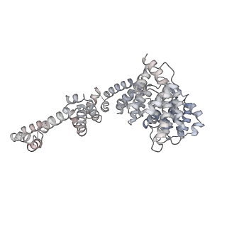 42285_8ui0_W_v1-0
Structure of poised transcription complex Pol II-DSIF-NELF - pre-translocated