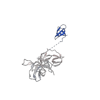 42285_8ui0_Z_v1-0
Structure of poised transcription complex Pol II-DSIF-NELF - pre-translocated