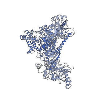 42303_8uis_A_v1-0
Structure of transcription complex Pol II-DSIF-NELF-TFIIS