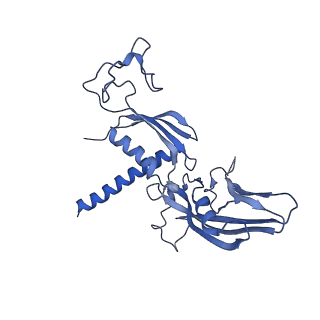 42303_8uis_C_v1-0
Structure of transcription complex Pol II-DSIF-NELF-TFIIS