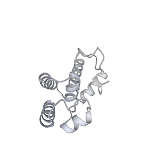 42303_8uis_D_v1-0
Structure of transcription complex Pol II-DSIF-NELF-TFIIS