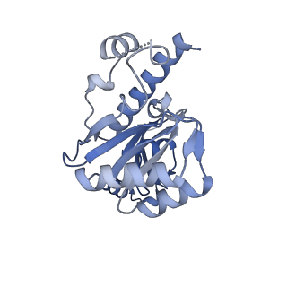 42303_8uis_E_v1-0
Structure of transcription complex Pol II-DSIF-NELF-TFIIS