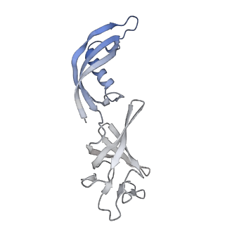 42303_8uis_G_v1-0
Structure of transcription complex Pol II-DSIF-NELF-TFIIS