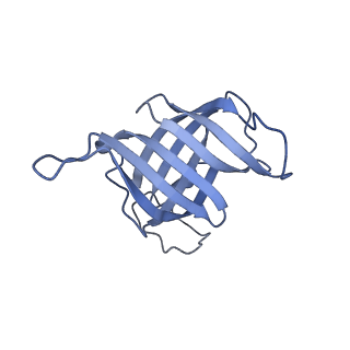 42303_8uis_H_v1-0
Structure of transcription complex Pol II-DSIF-NELF-TFIIS