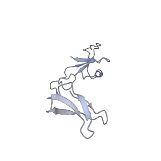 42303_8uis_I_v1-0
Structure of transcription complex Pol II-DSIF-NELF-TFIIS