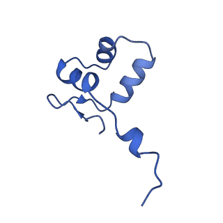 42303_8uis_J_v1-0
Structure of transcription complex Pol II-DSIF-NELF-TFIIS