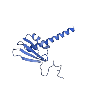 42303_8uis_K_v1-0
Structure of transcription complex Pol II-DSIF-NELF-TFIIS