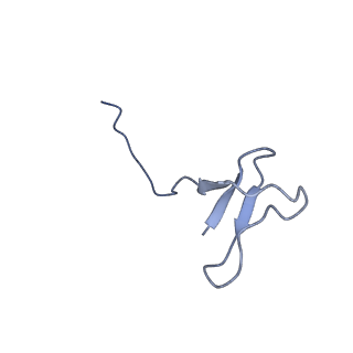 42303_8uis_L_v1-0
Structure of transcription complex Pol II-DSIF-NELF-TFIIS