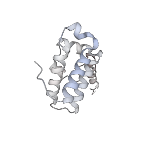 42303_8uis_S_v1-0
Structure of transcription complex Pol II-DSIF-NELF-TFIIS