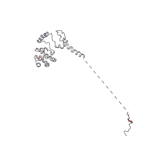 42303_8uis_U_v1-0
Structure of transcription complex Pol II-DSIF-NELF-TFIIS