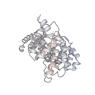 42303_8uis_W_v1-0
Structure of transcription complex Pol II-DSIF-NELF-TFIIS