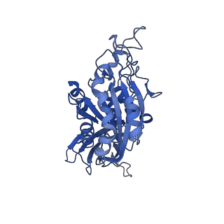 20795_6ujb_B_v1-1
Integrin alpha-v beta-8 in complex with the Fabs C6D4 and 11D12v2