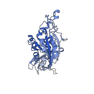 20796_6ujc_B_v2-0
Integrin alpha-v beta-8 in complex with the Fabs C6-RGD3 and 11D12v2