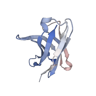 20796_6ujc_E_v1-1
Integrin alpha-v beta-8 in complex with the Fabs C6-RGD3 and 11D12v2