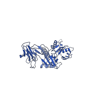 26562_7uja_K_v1-1
Cryo-EM structure of Human respiratory syncytial virus F variant (construct pXCS847A)