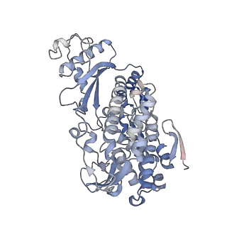 26567_7ujn_A_v1-1
Structure of Human SAMHD1 with Non-Hydrolysable dGTP Analog