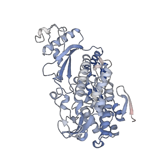 26567_7ujn_A_v1-2
Structure of Human SAMHD1 with Non-Hydrolysable dGTP Analog