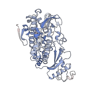 26567_7ujn_B_v1-1
Structure of Human SAMHD1 with Non-Hydrolysable dGTP Analog