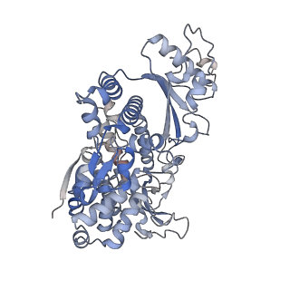 26567_7ujn_C_v1-1
Structure of Human SAMHD1 with Non-Hydrolysable dGTP Analog