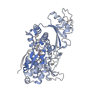 26567_7ujn_C_v1-2
Structure of Human SAMHD1 with Non-Hydrolysable dGTP Analog