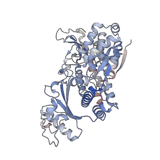 26567_7ujn_D_v1-1
Structure of Human SAMHD1 with Non-Hydrolysable dGTP Analog