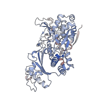 26567_7ujn_D_v1-2
Structure of Human SAMHD1 with Non-Hydrolysable dGTP Analog