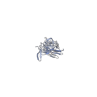 8561_5ujz_A_v1-3
CryoEM structure of an influenza virus receptor-binding site antibody-antigen interface - Class 1
