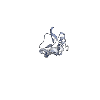 8561_5ujz_B_v1-3
CryoEM structure of an influenza virus receptor-binding site antibody-antigen interface - Class 1