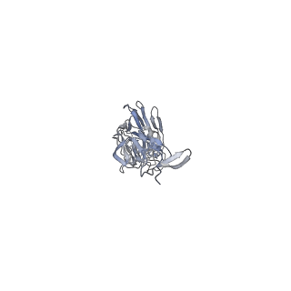 8561_5ujz_C_v1-3
CryoEM structure of an influenza virus receptor-binding site antibody-antigen interface - Class 1