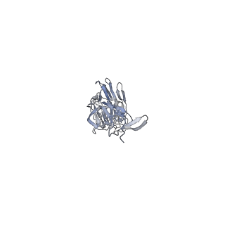 8561_5ujz_C_v2-0
CryoEM structure of an influenza virus receptor-binding site antibody-antigen interface - Class 1