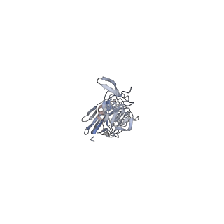 8561_5ujz_E_v1-3
CryoEM structure of an influenza virus receptor-binding site antibody-antigen interface - Class 1