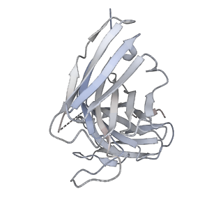 8561_5ujz_G_v1-3
CryoEM structure of an influenza virus receptor-binding site antibody-antigen interface - Class 1