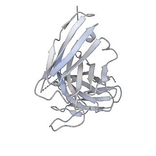 8561_5ujz_G_v2-0
CryoEM structure of an influenza virus receptor-binding site antibody-antigen interface - Class 1