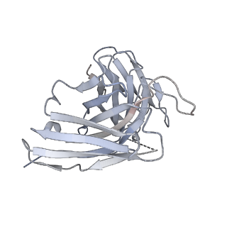 8561_5ujz_H_v2-0
CryoEM structure of an influenza virus receptor-binding site antibody-antigen interface - Class 1