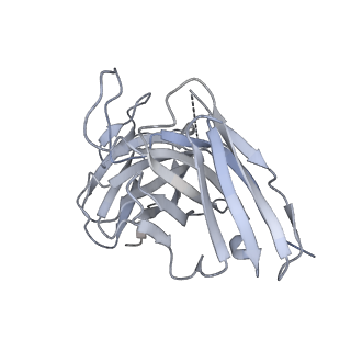 8561_5ujz_I_v1-3
CryoEM structure of an influenza virus receptor-binding site antibody-antigen interface - Class 1